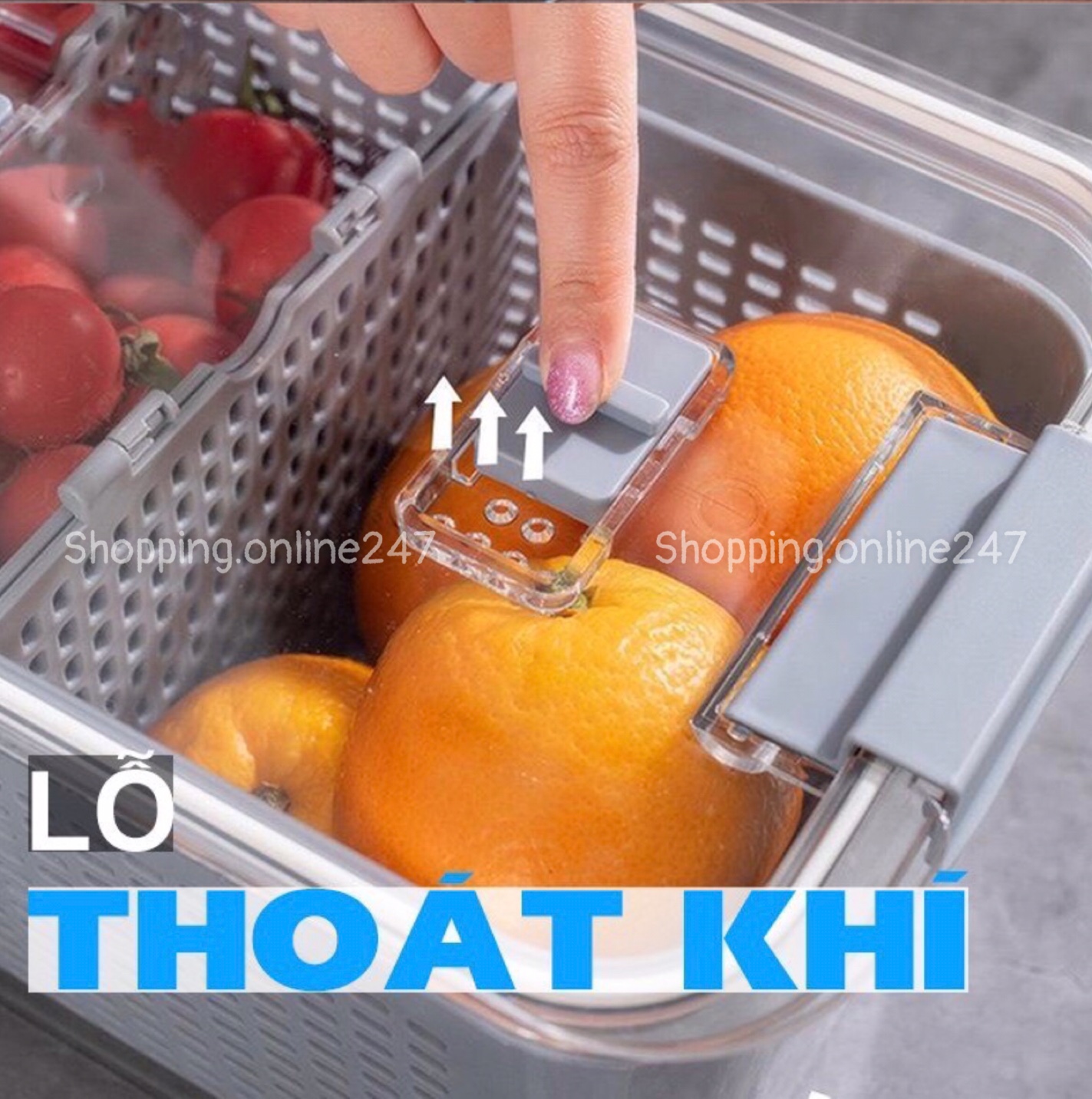 Hộp nhựa PET đựng thực phẩm để tủ lạnh 2in1 tiện dụng có lỗ thoát nước - khóa thoát khí - dễ dàng bảo vệ rau củ quả