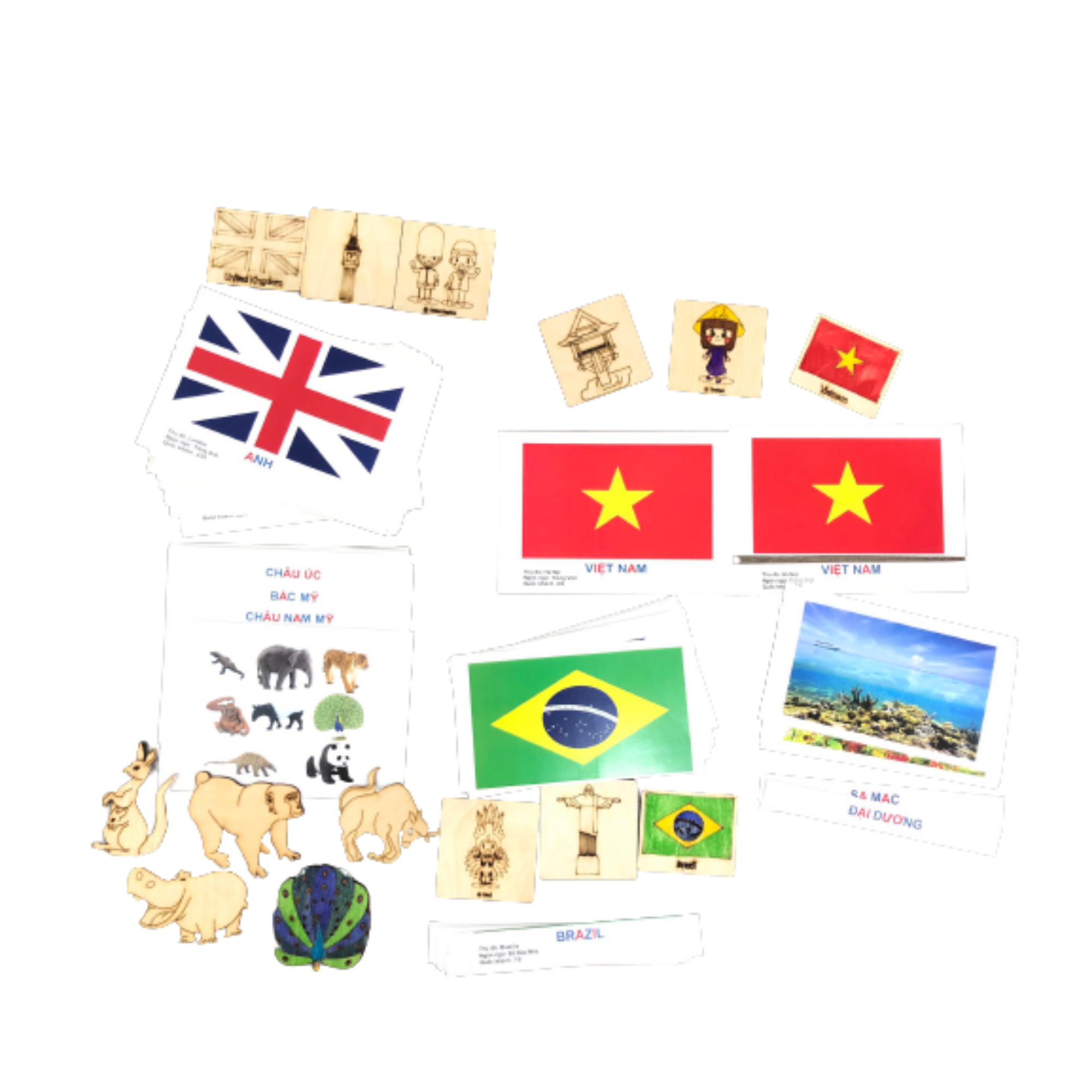 101 Thẻ Flashcard đồ chơi giáo dục trẻ em chủ đề Văn hóa các châu lục