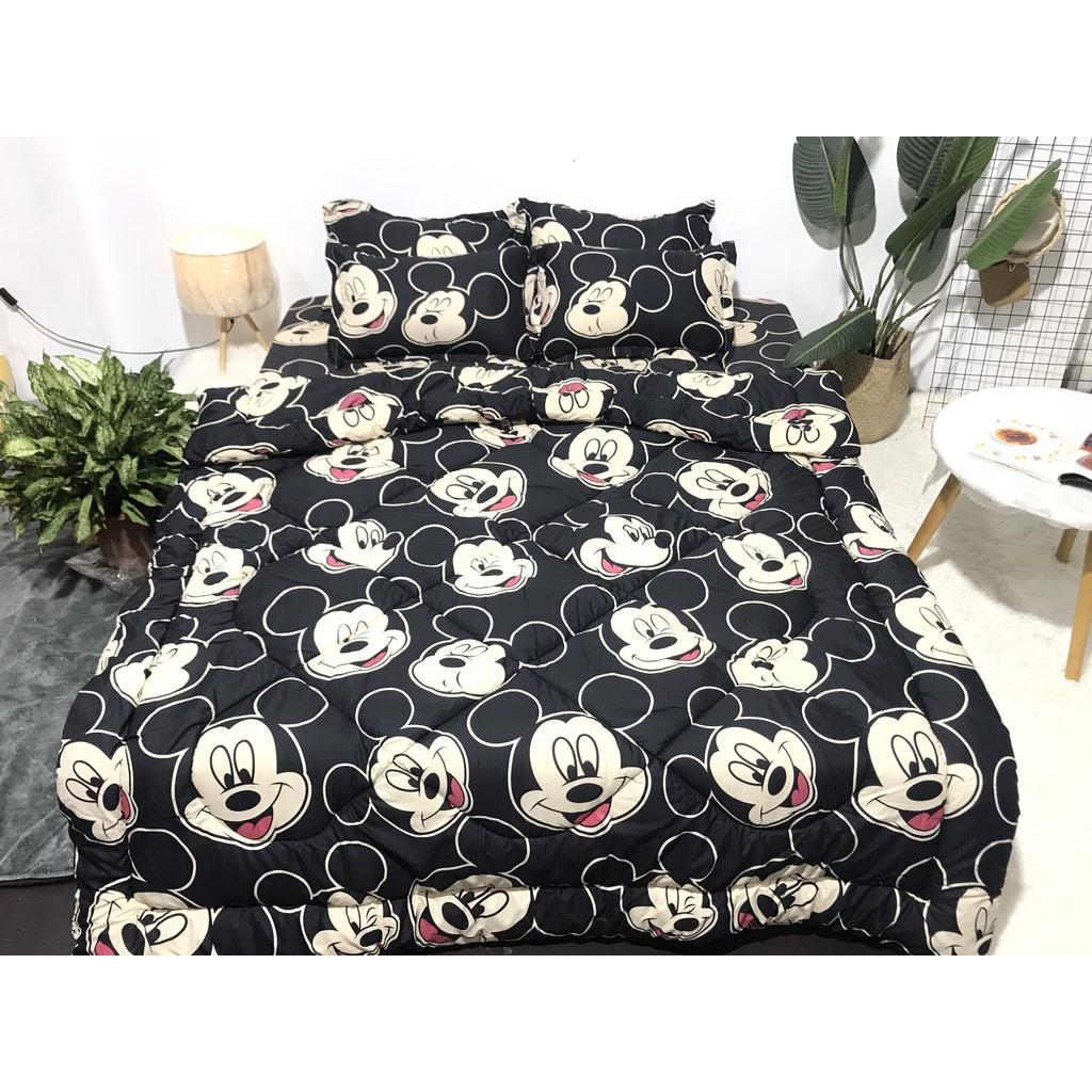Set phao 5 món siêu rẻ