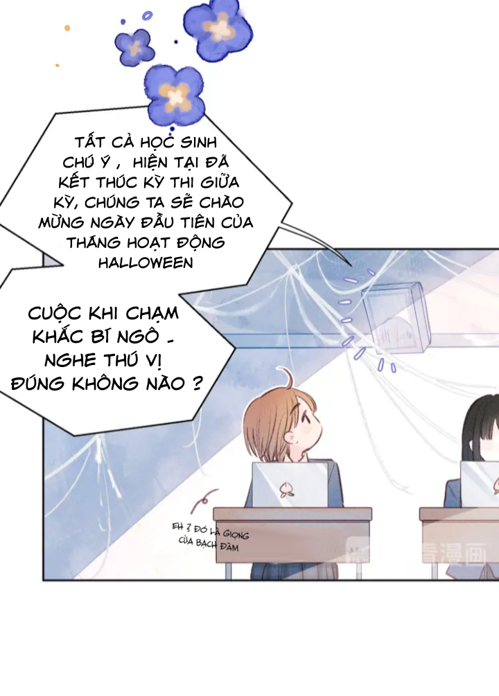 nỗi buồn của hoa cẩm tú cầu chapter 41 10