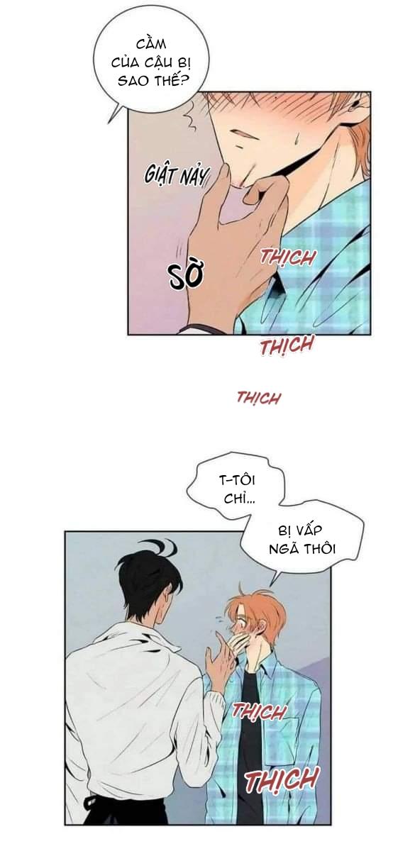 bona sort chapter 17 29