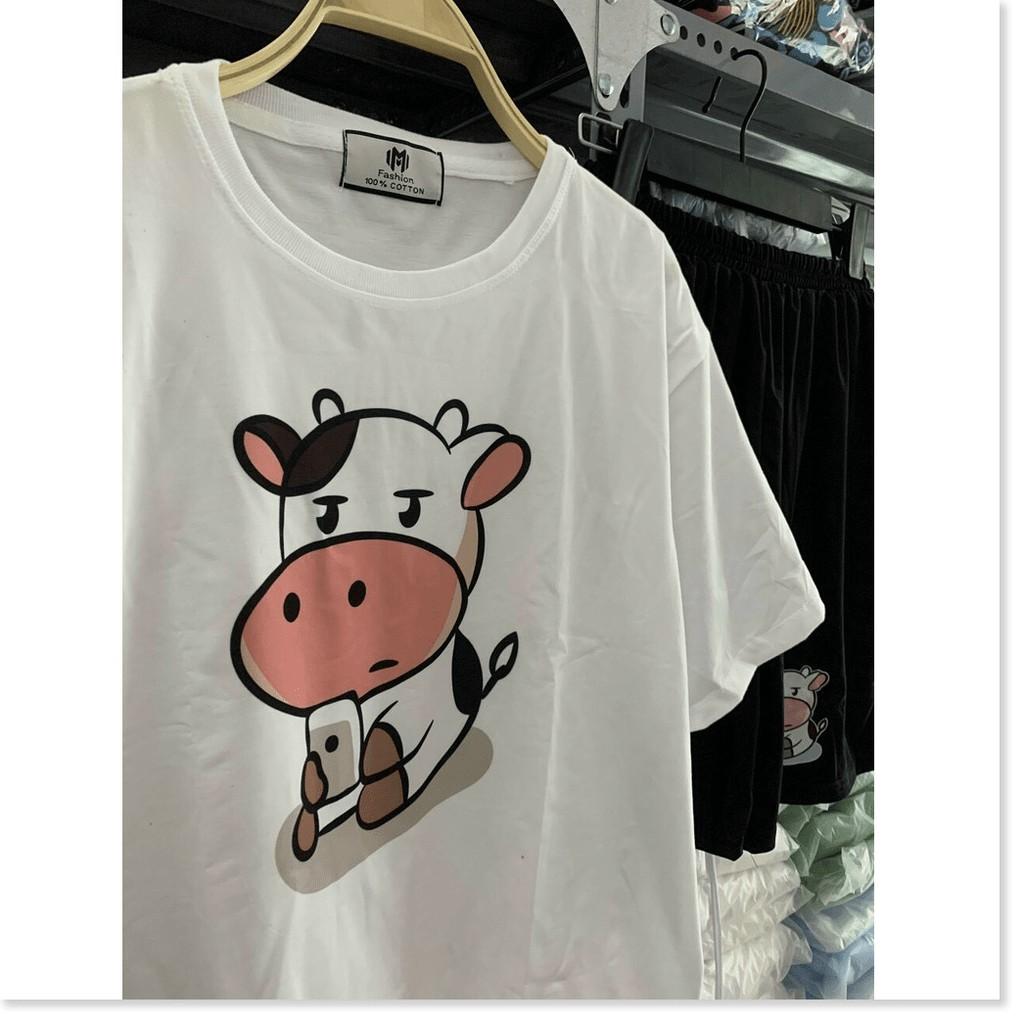 SET BỘ THUN COTTON NỮ XINH XẮN