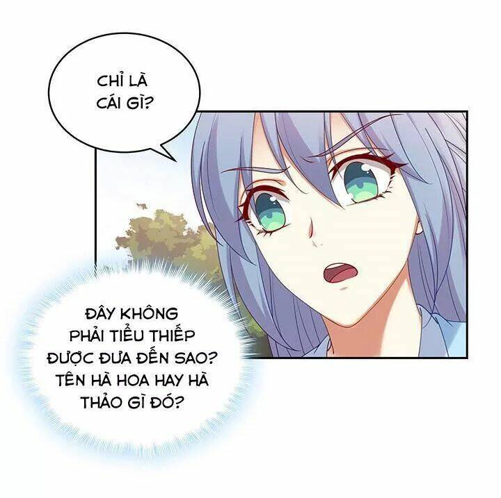 đô đốc đại nhân sủng thê kí chapter 142 13