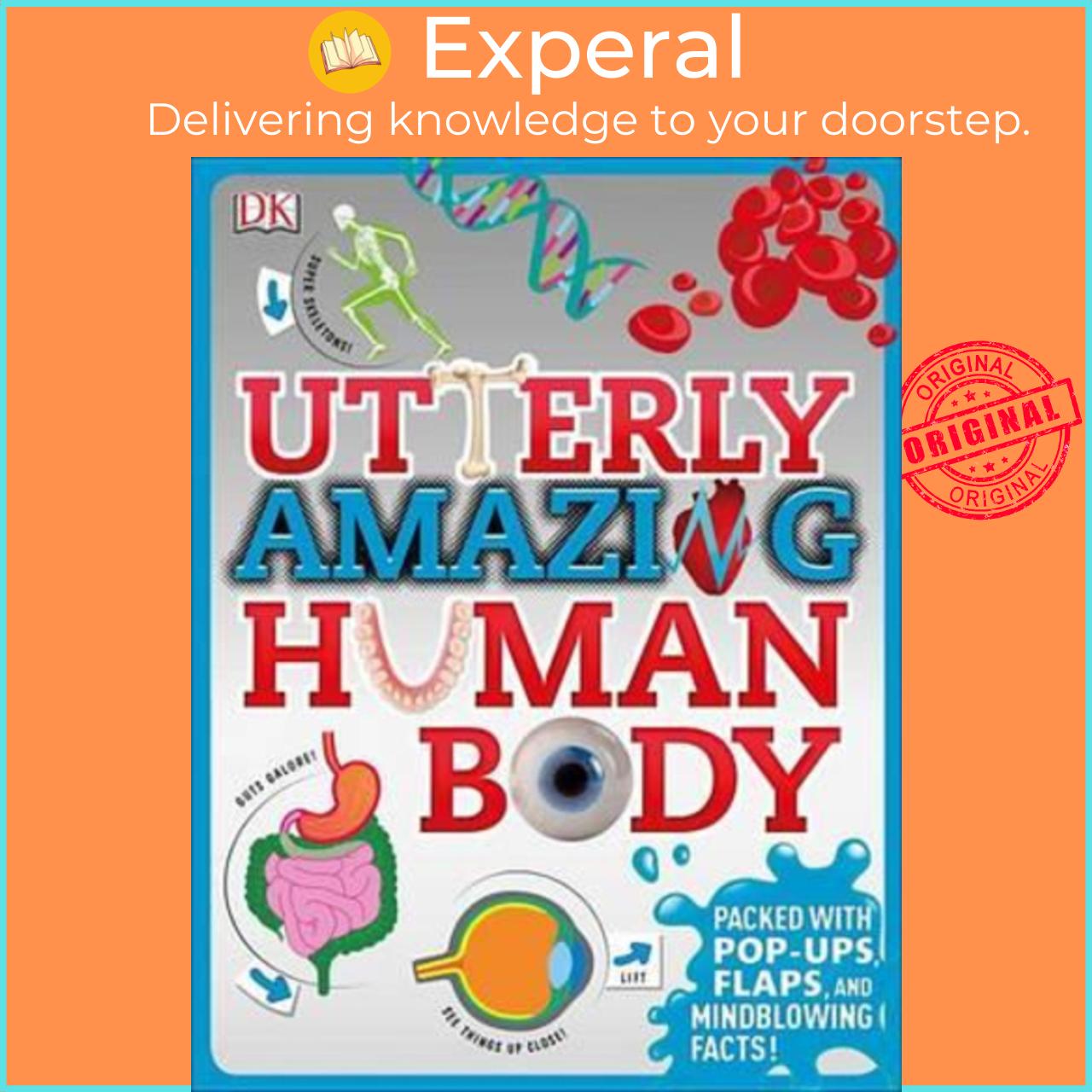 Sách - Utterly Amazing Human Body by Robert Winston (paperback)