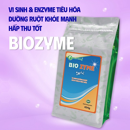 MEN ĐƯỜNG RUỘT CHO TÔM GIÚP TĂNG SỨC KHỎE ĐƯỜNG RUỘT, NONG TO ĐƯỜNG RUỘT, GIÚP RUỘT ĐEN, PHÂN CHẮC, HẤP THU THỨC ĂN TỐT BIOZYME