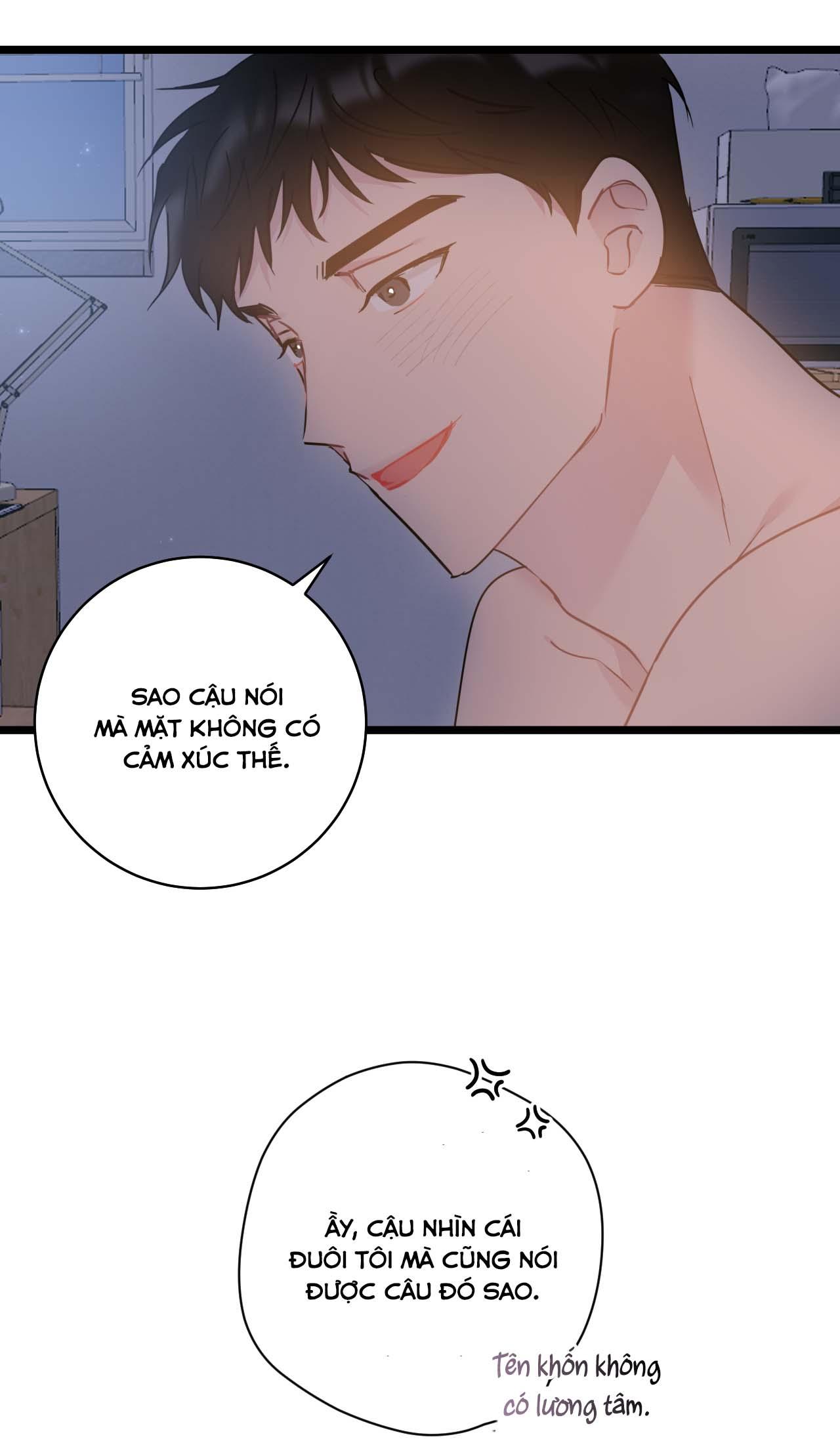 tình yêu bình dị nhất chapter 22 86