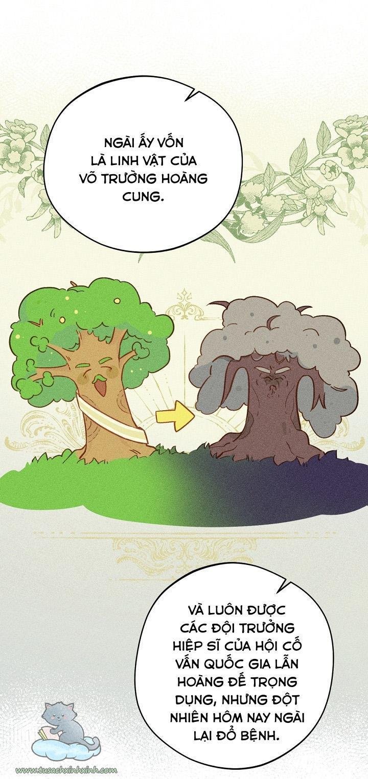 trang trại hạt dẻ cạnh hoàng cung chapter 15 49