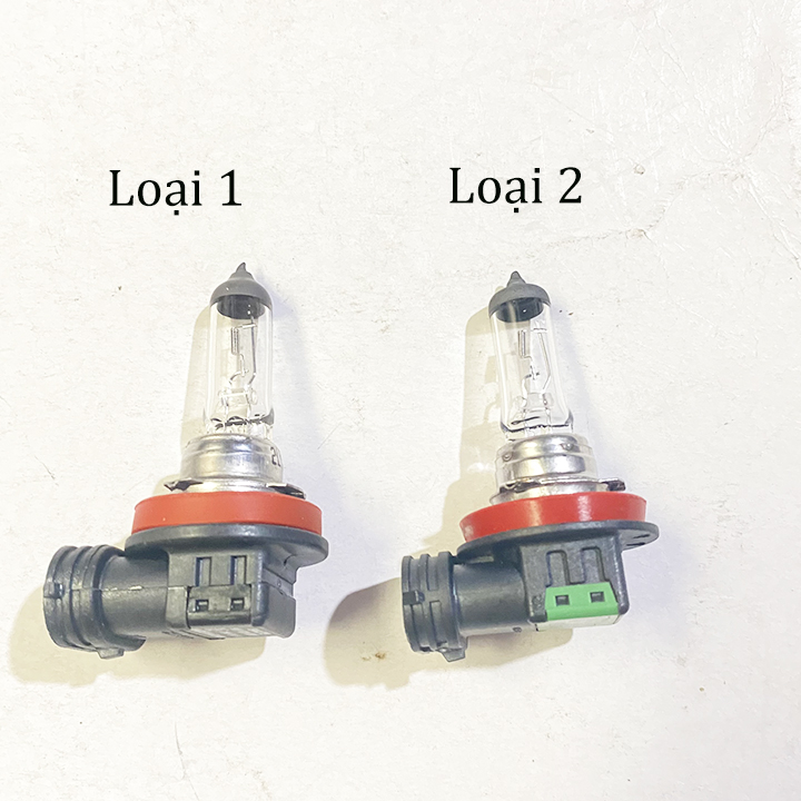 Bóng đèn gầm ô tô H11 12V 55W con cú Halogen Nam Yung