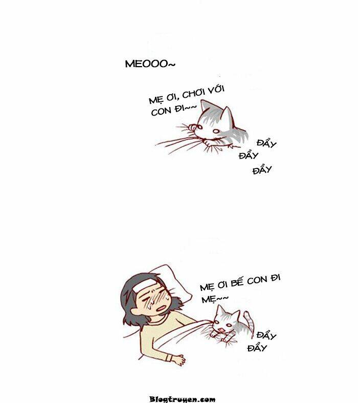 my kitty and old dog chapter 16 3