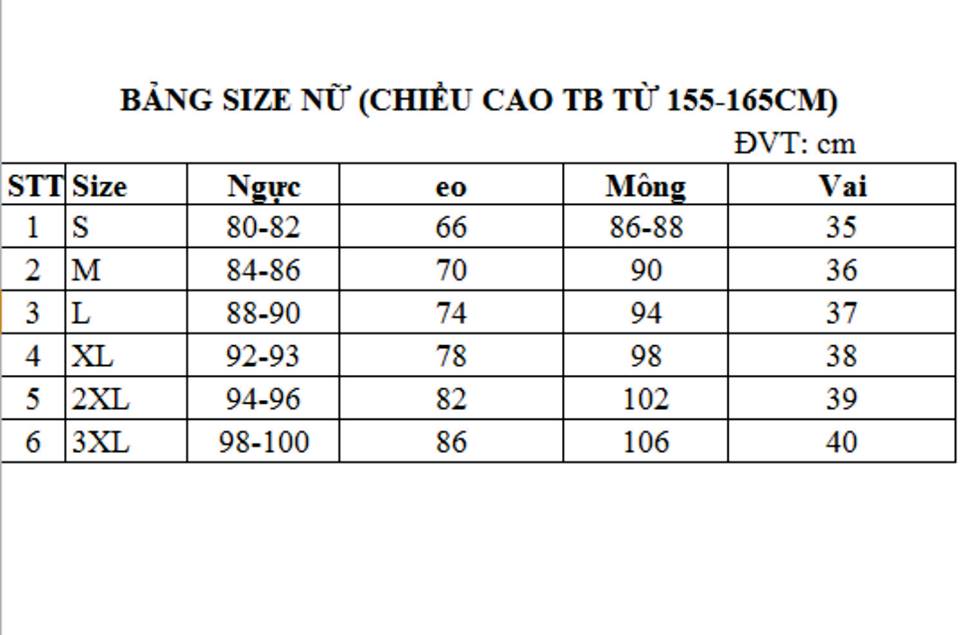 Rập giấy A0 may đầm mã 209