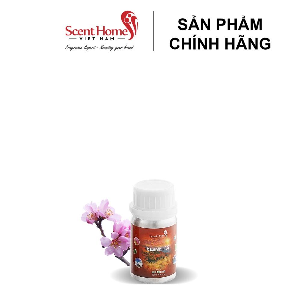Tinh dầu Scent Homes - mùi hương