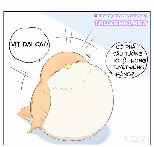 sẻ chiếu mới và nhạn phong sương chapter 6 13