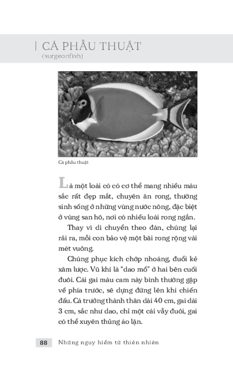 Những Nguy Hiểm Từ Thiên Nhiên _TRE