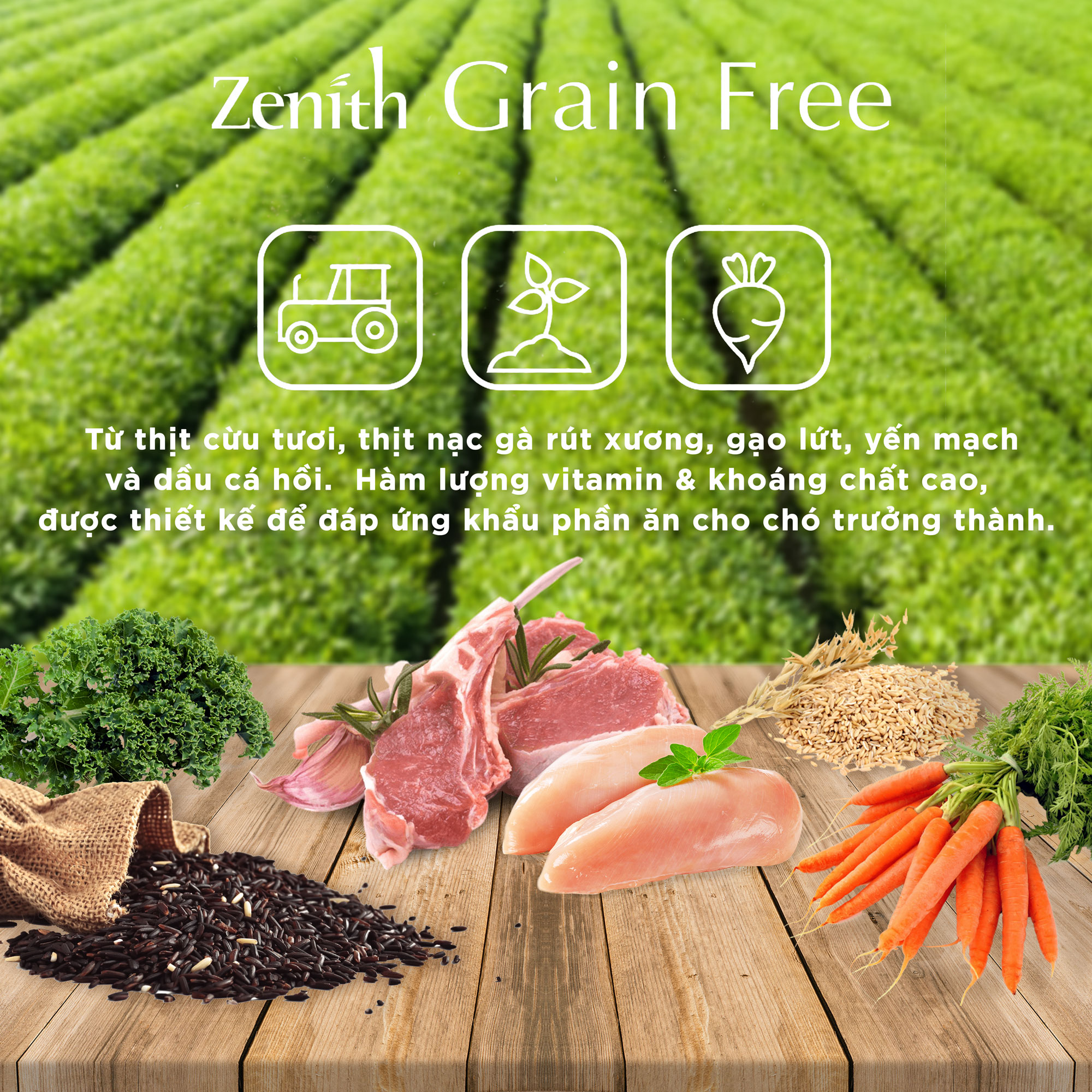 Thức ăn hạt mềm cho chó trưởng thành Zenith Adult | Không ngũ cốc | Hỗ trợ miễn dịch | Phát triển xương khớp chắc khoẻ