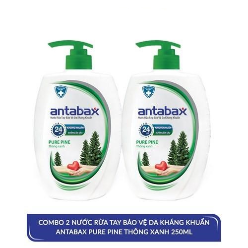 Combo 2 Nước Rửa Tay Bảo Vệ Da Kháng Khuẩn Antabax Pure Pine Thông Xanh 250ml