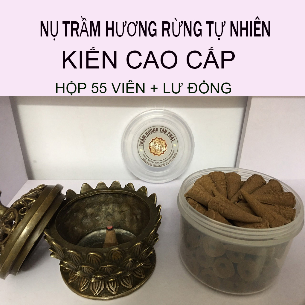 Nụ Trầm Hương Tự Nhiên Kiến Rừng Cao Cấp