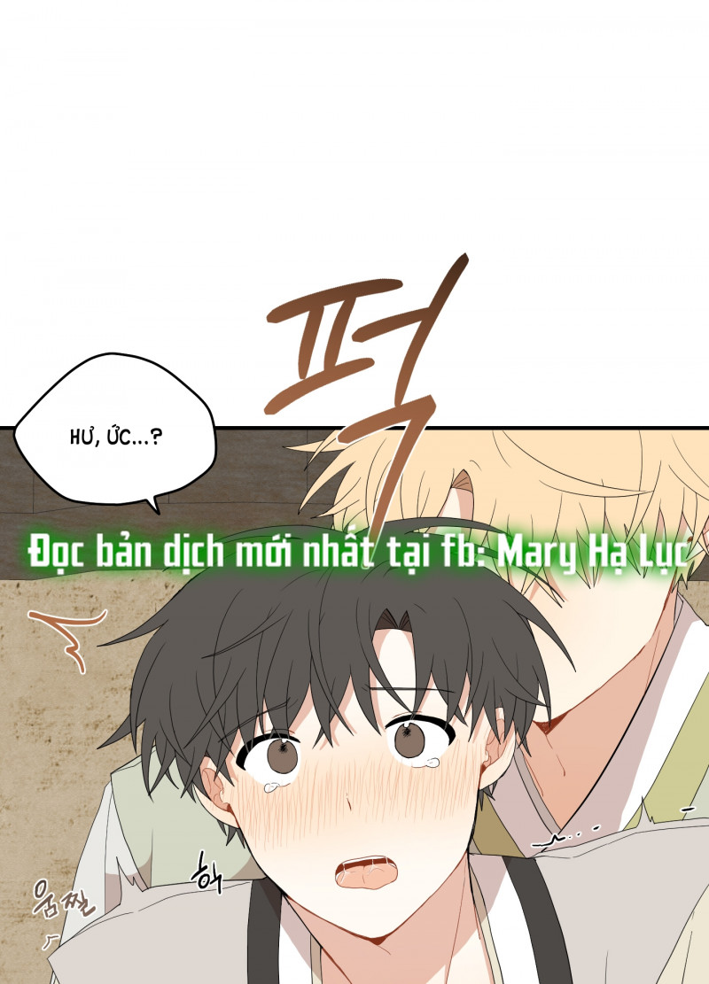 Dưới Tán Hoa Liên Kiều chapter 22.5