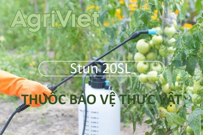 Trừ Bọ trĩ - Rệp Stun 20SL - Không mùi, hiệu quả nhanh chóng