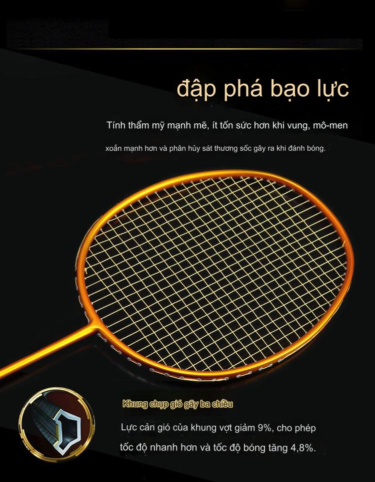 Vợt Cầu Lông Khung Carbon 5U Căng Sẵn 11kg DNS800 Chính Hãng Đại Nam Sport + Kèm Cuốn Cán Và Túi Đựng