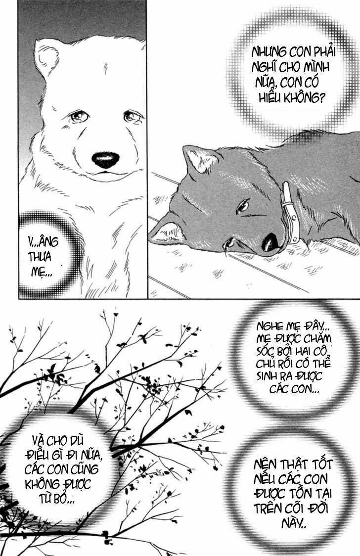 deep love - pao no monogatari chapter 1 23