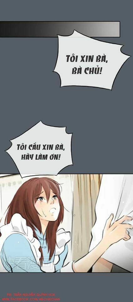 12 giờ của lọ lem chapter 42 11