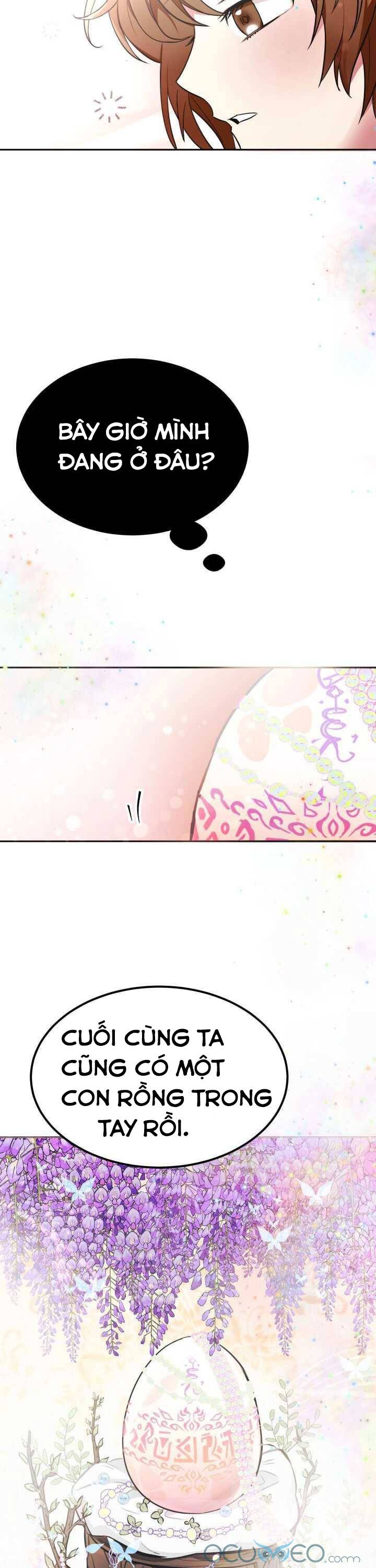 đứa con của rồng chapter 1 39