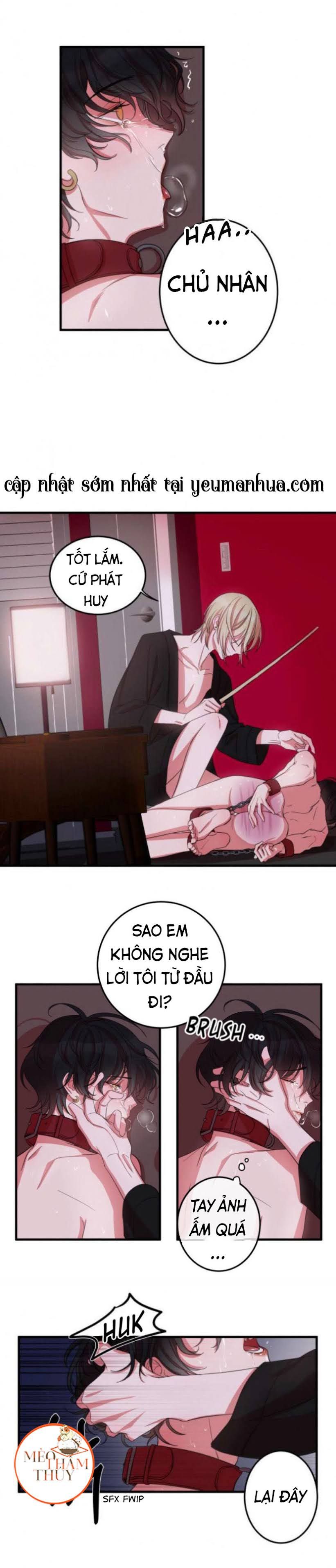 khẩu vị và sự tôn thờ của người yêu tôi chapter 4 8