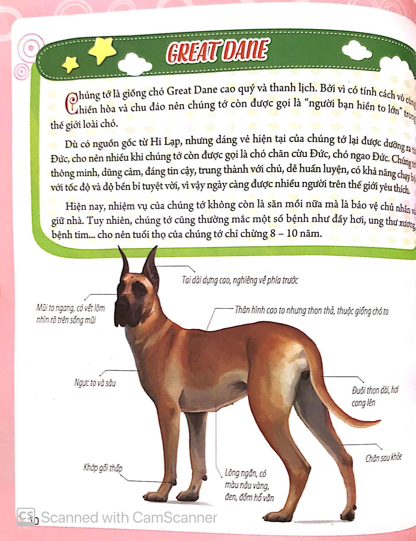 Bách Khoa Động Vật Dành Cho Trẻ Nhỏ - Thú Cưng