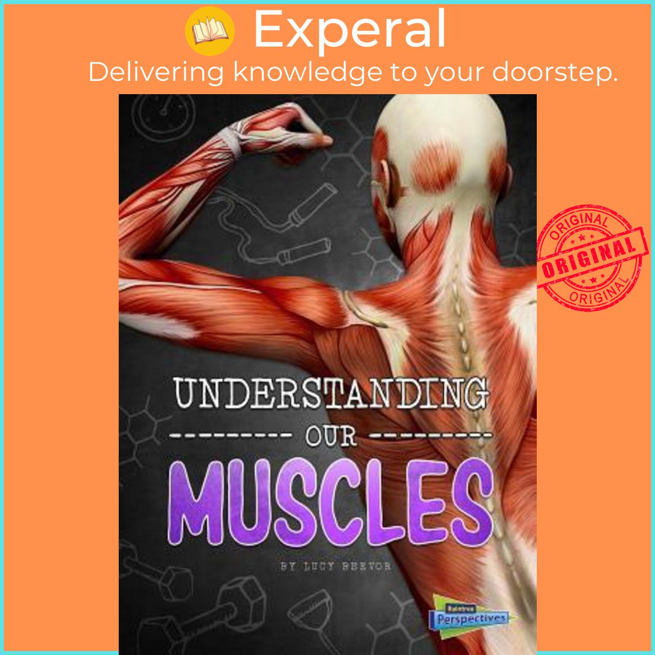Sách - Understanding Our Muscles by Lucy Beevor