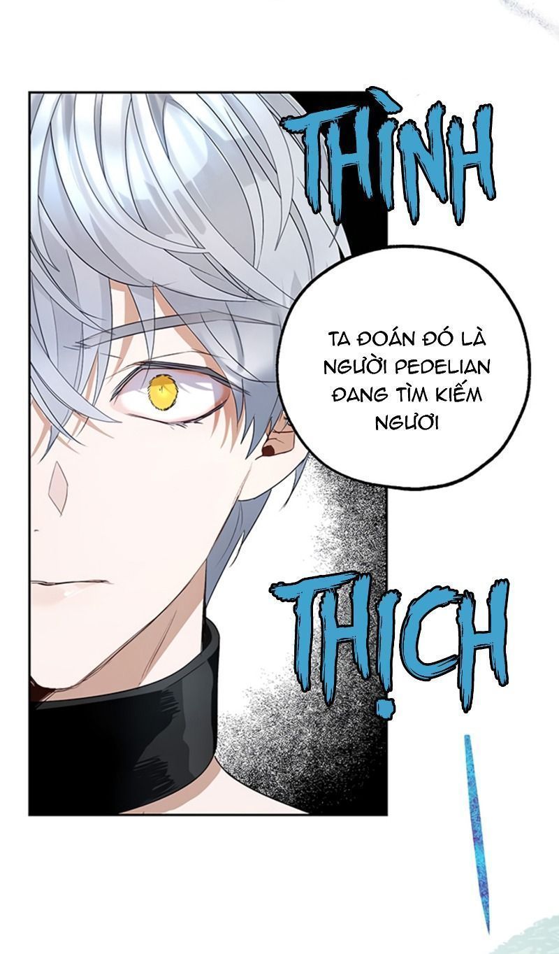 cách để cứu rỗi anh trai của nữ chính chapter 19 44