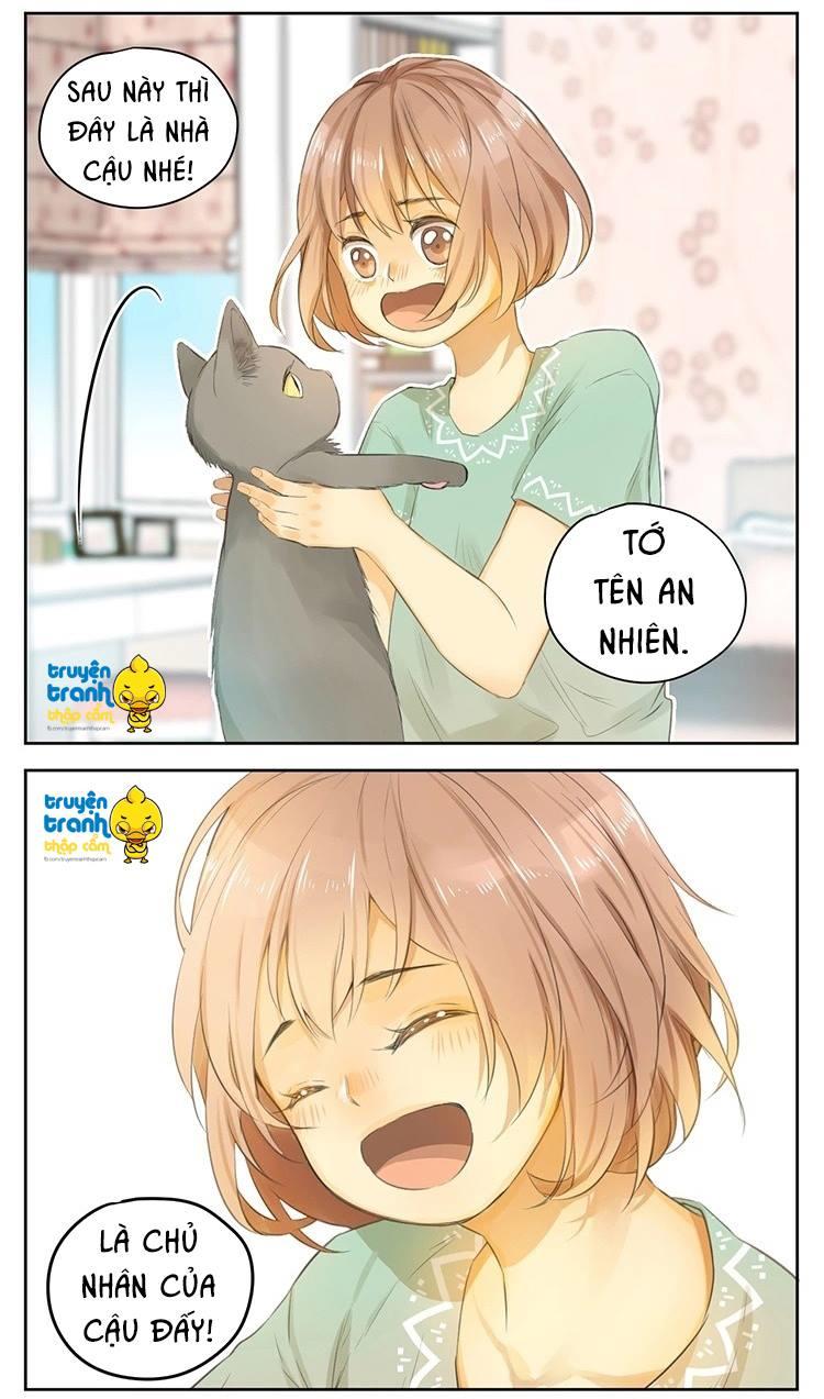 cứu mạng ! loài mèo thống trị thế giới rồi ! chapter 24 15