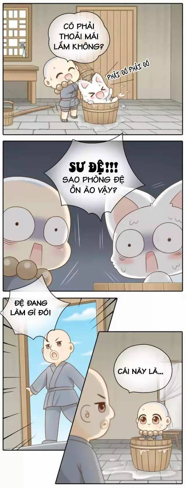 tiểu hồ ly vs tiểu hóa thượng chapter 50 6