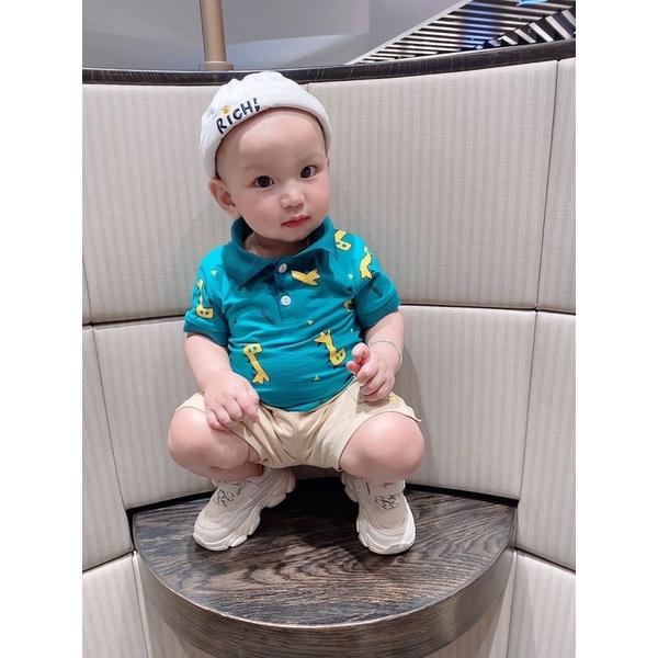 Set áo thun quần túi hộp in hình siêu cưng 8-16kg