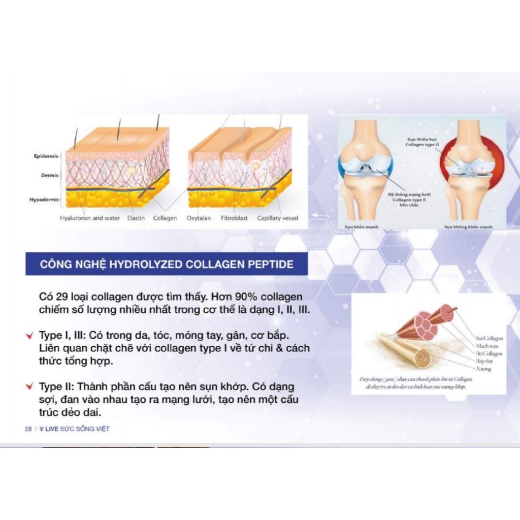 Bộ Vlive 7 ngày vượt covid  (V-Trition, V-Oxy+, 2x V-Neral)