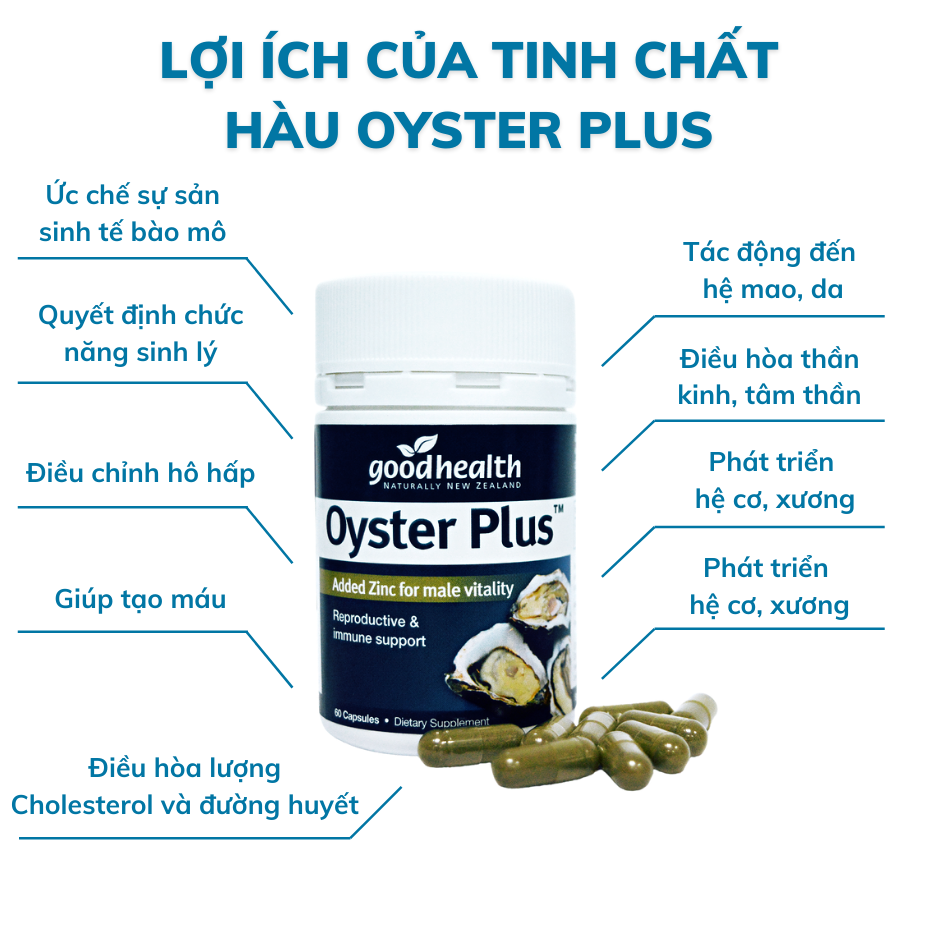 Goodhealth Oyster Plus Tinh Chất Hàu 60 Viên - Tăng Cường Sinh Lý - Cải Thiện Chất Lượng Tinh Trùng - Hàng Chính Hãng New Zealand