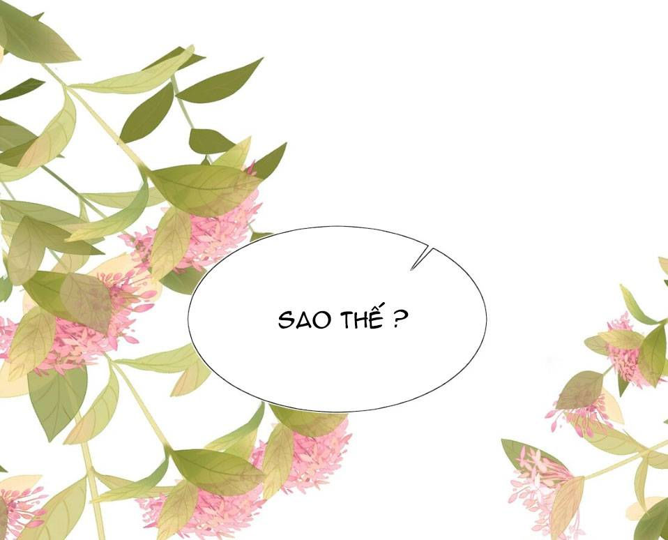 trở về năm mà ông xã làm giáo thảo chapter 1 14