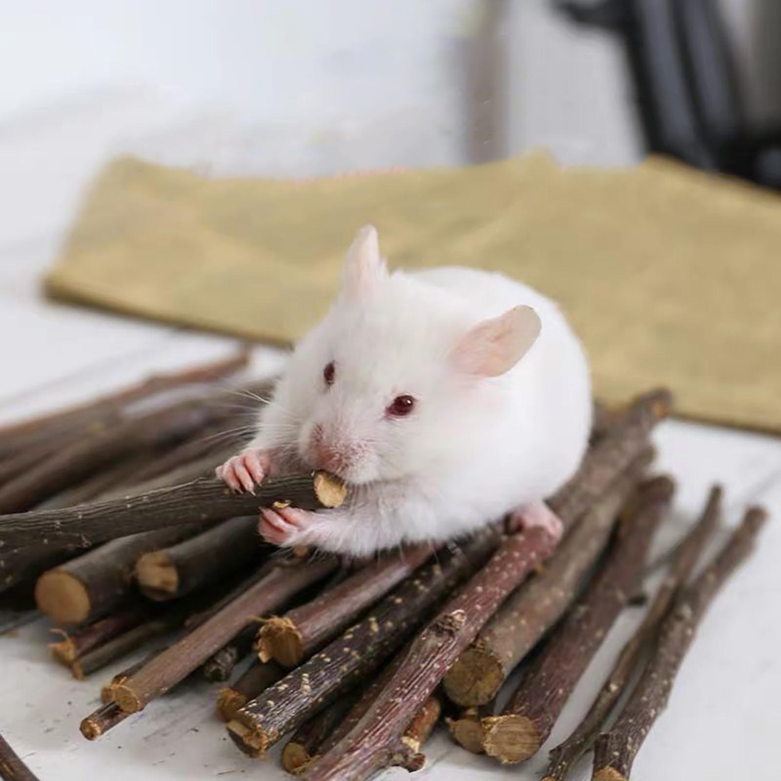 Wood Chew Sticks 1000g Hamster Groundhog Squirrels Rodent Animals