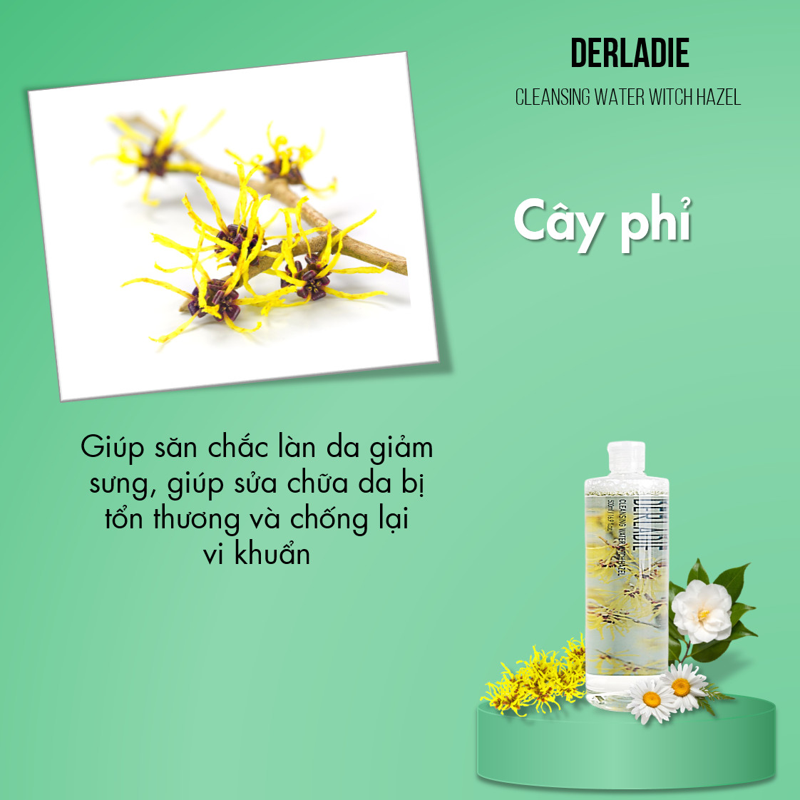 Nước Tẩy Trang Làm Sạch Da, Kháng Khuẩn Derladie Cleansing Water Witch Hazel 500ml