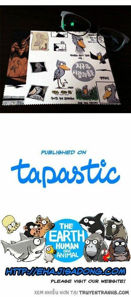 earth, human, and animal chapter 14 25