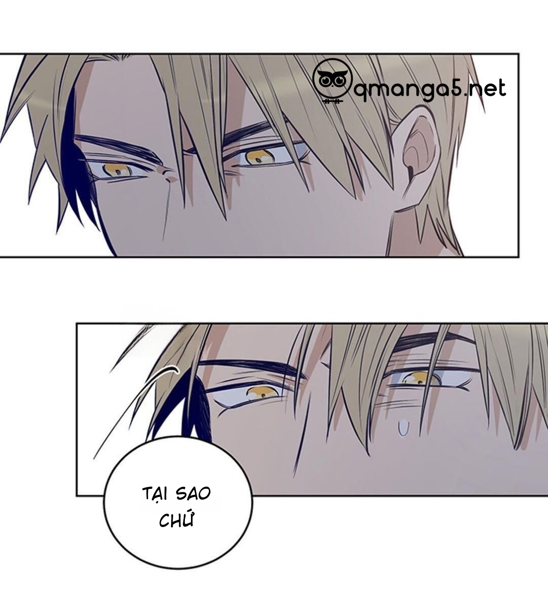 thành phố cạm bẫy chapter 5 17