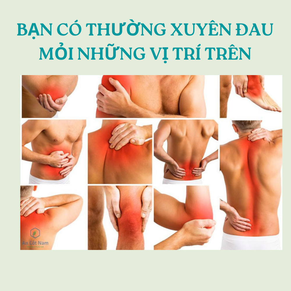 Viên Uống Xương Khớp AN THẢO ĐAN Hỗ trợ đau nhức xương khớp viêm khớp thoái hóa thoát vị tê bì chân tay, Hộp 60 viên