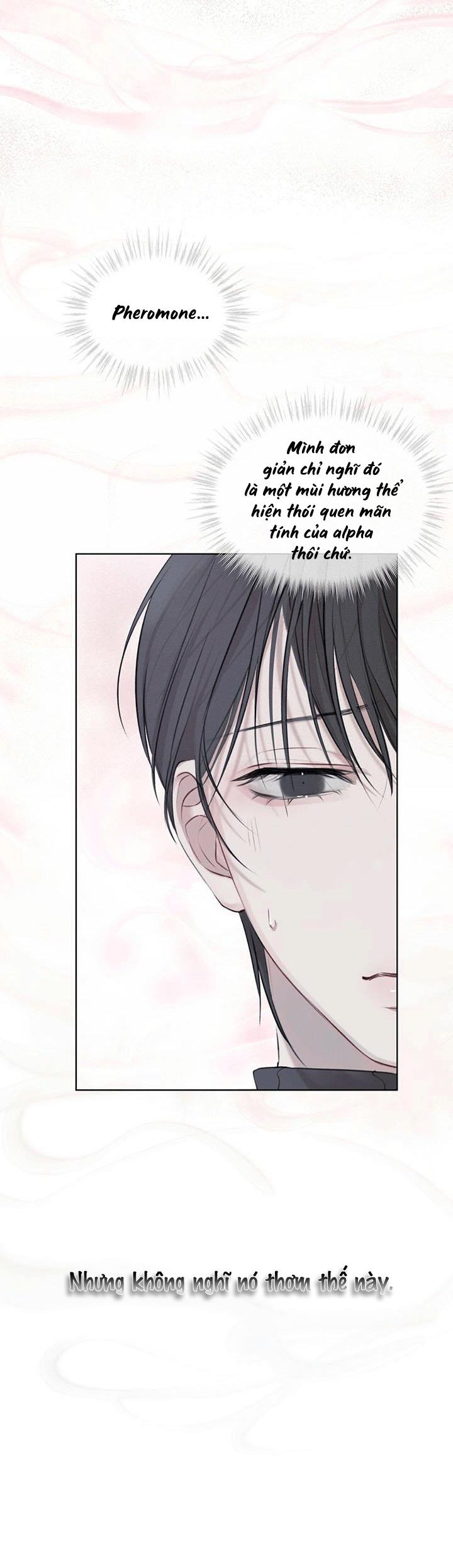 hình thái khởi sinh chapter 11 18