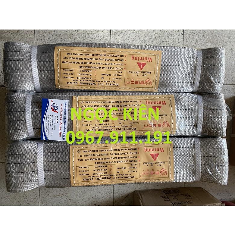 Dây cáp vải cẩu hàng 4 Tấn - bản 100mm - Hệ số 5:1 - 3 Mét