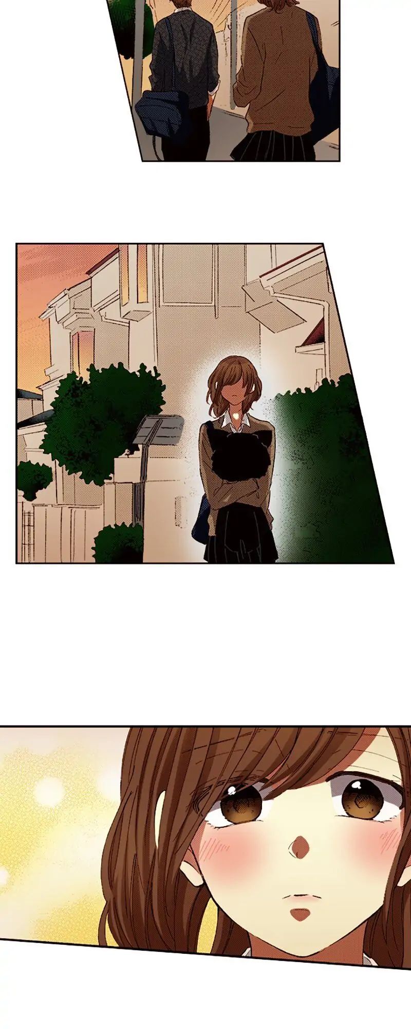 Tôi Ghét Nụ Cười Ấy chapter 84.2 - Trang 6