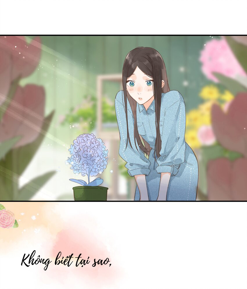 tiệm hoa hướng dương ở góc phố chapter 2 27