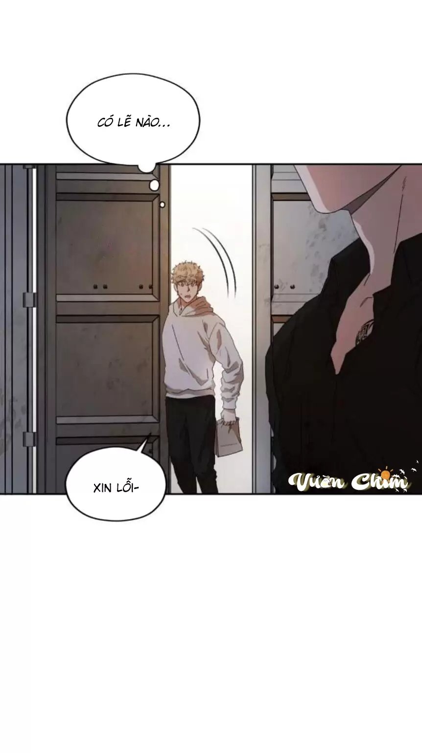 liveta chapter 33 28