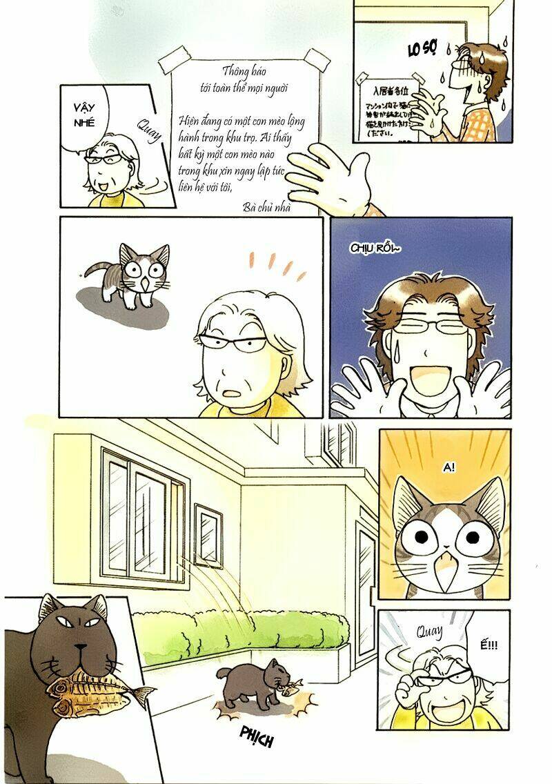 chi's sweet home chapter 36 7