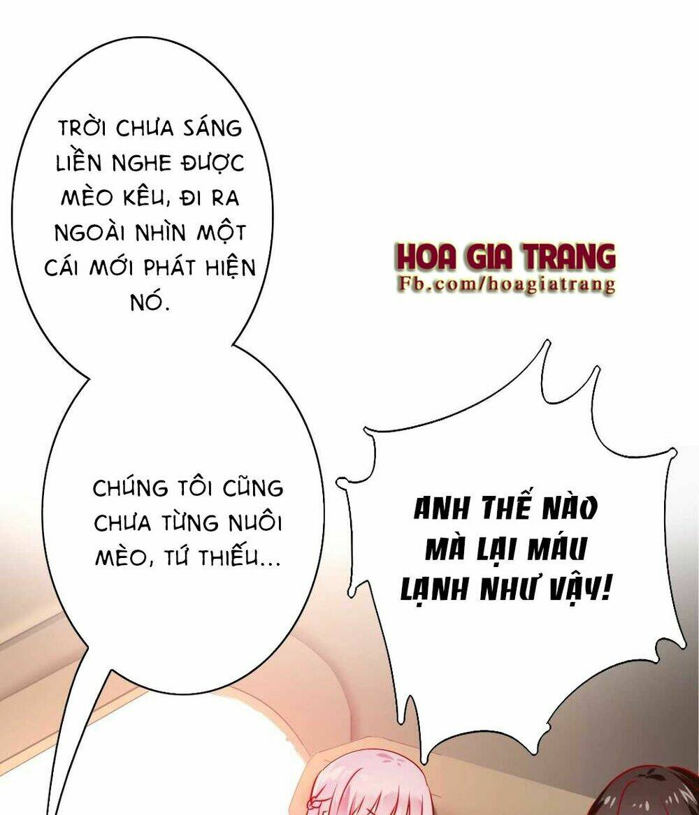 phục thù thiếu gia tiểu điềm thê chapter 15 5