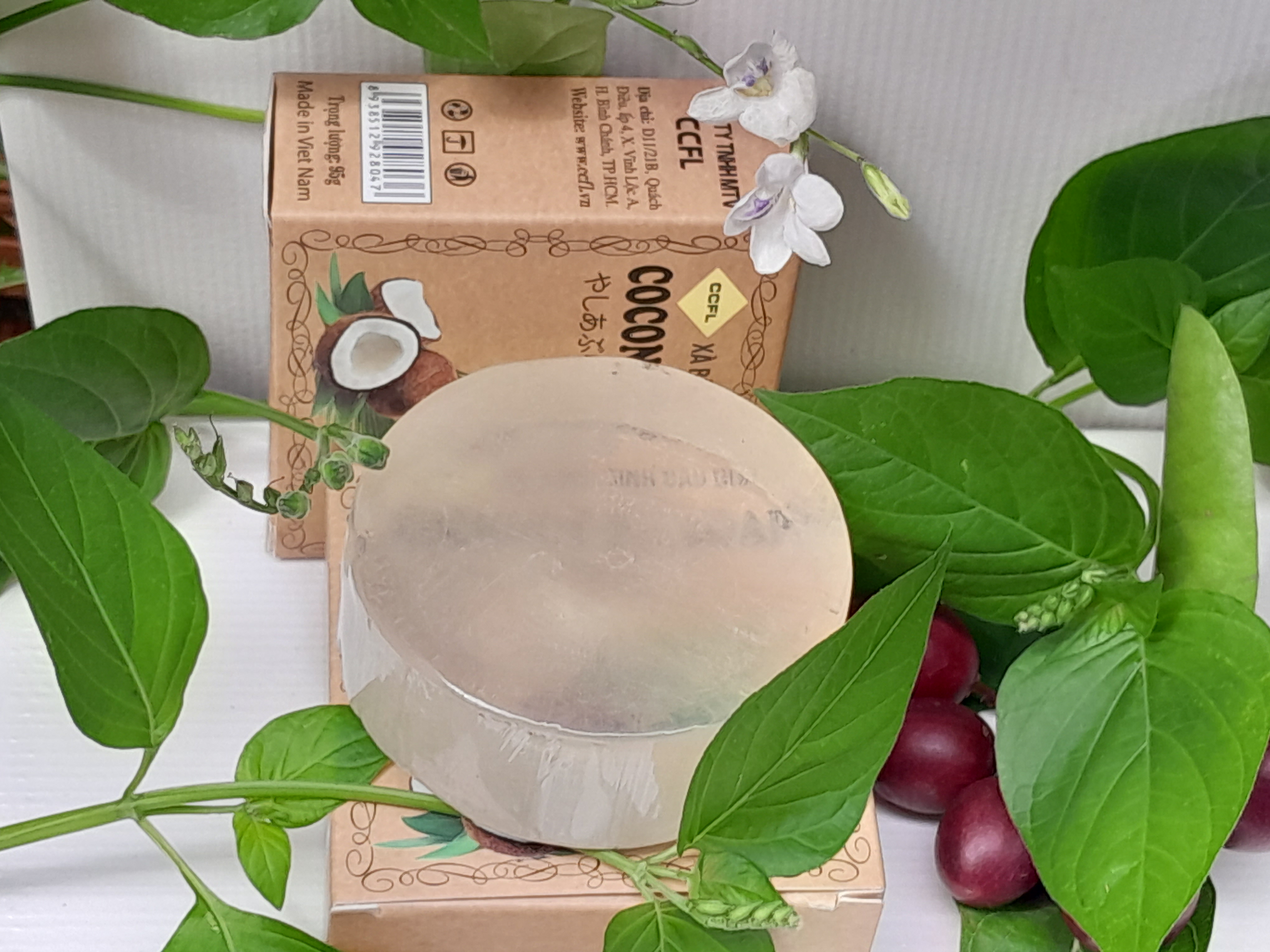 XÀ BÔNG DỪA , Giúp Giảm Mụn Lưng, Cho Làn Da Tươi Trẻ, Mềm Mịn, Ai Trong Gia Đình Cũng Dùng Được. Được Sản Xuất bằng Phương Pháp Thủ Công Thuần Túy. #xabongdua #munlung #xabongthiennhien #xaphongthiennhien