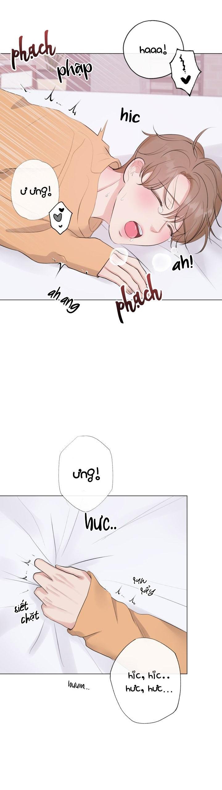 người yêu hiếm hoi chapter 12 20